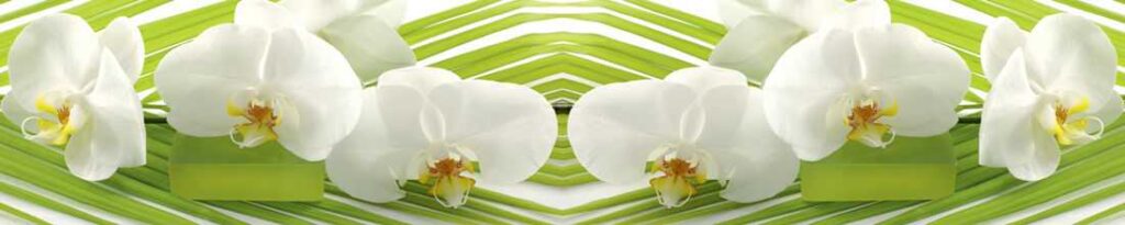 brauri de bucătărie, oglinzi cu iluminare, oglinzi decorative, oglinzi în rame, oglinzi pentru baie Chișinău, oglinzi pentru baie, oglinzi Chișinău, oglinzi MD, oglinzi personalizate, oglinzi moderne, accesorii de bucătărie, design interior, decoratiuni interioare, producator oglinzi, sticla decorativa, sticla personalizata, mobilier oglinda, sticla securizata, oglinzi unice, oglinzi de lux, oglinda iluminata, oglinda baie, oglinda perete, oglinzi living, oglinzi dormitor, oglinzi de perete, oglinzi de birou, oglinzi de hol, oglinzi de baie cu iluminare, oglinzi cu rama din lemn, oglinzi cu rama din aluminiu, oglinzi MD, oglinda cosmetica, oglinzi Chișinău, Chișinău, oglinzi, GlassDecor, Браури для кухни, зеркала с подсветкой, декоративные зеркала, зеркала в рамах, зеркала для ванной Кишинёв, зеркала для ванной комнаты, зеркала Кишинёв, зеркала Молдова, индивидуальные зеркала, современные зеркала, кухонные аксессуары, интерьерный дизайн, предметы интерьера, производитель зеркал, декоративное стекло, индивидуальное стекло, мебель с зеркалами, закаленное стекло, уникальные зеркала, роскошные зеркала, зеркало с подсветкой, зеркало для ванной, настенное зеркало, зеркала для гостиной, зеркала для спальни, настенные зеркала, офисные зеркала, прихожие зеркала, зеркала для ванной с подсветкой, деревянные рамы для зеркал, алюминиевые рамы для зеркал, зеркала Молдова, косметические зеркала, Кишинёв, Молдова, зеркала, GlassDecor, Декоративные зеркала, Зеркала с подсветкой, Зеркала в раме, Фартуки для кухни