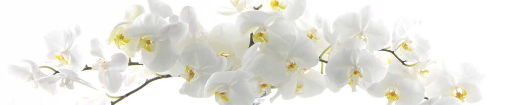 brauri de bucătărie, oglinzi cu iluminare, oglinzi decorative, oglinzi în rame, oglinzi pentru baie Chișinău, oglinzi pentru baie, oglinzi Chișinău, oglinzi MD, oglinzi personalizate, oglinzi moderne, accesorii de bucătărie, design interior, decoratiuni interioare, producator oglinzi, sticla decorativa, sticla personalizata, mobilier oglinda, sticla securizata, oglinzi unice, oglinzi de lux, oglinda iluminata, oglinda baie, oglinda perete, oglinzi living, oglinzi dormitor, oglinzi de perete, oglinzi de birou, oglinzi de hol, oglinzi de baie cu iluminare, oglinzi cu rama din lemn, oglinzi cu rama din aluminiu, oglinzi MD, oglinda cosmetica, oglinzi Chișinău, Chișinău, oglinzi, GlassDecor, Браури для кухни, зеркала с подсветкой, декоративные зеркала, зеркала в рамах, зеркала для ванной Кишинёв, зеркала для ванной комнаты, зеркала Кишинёв, зеркала Молдова, индивидуальные зеркала, современные зеркала, кухонные аксессуары, интерьерный дизайн, предметы интерьера, производитель зеркал, декоративное стекло, индивидуальное стекло, мебель с зеркалами, закаленное стекло, уникальные зеркала, роскошные зеркала, зеркало с подсветкой, зеркало для ванной, настенное зеркало, зеркала для гостиной, зеркала для спальни, настенные зеркала, офисные зеркала, прихожие зеркала, зеркала для ванной с подсветкой, деревянные рамы для зеркал, алюминиевые рамы для зеркал, зеркала Молдова, косметические зеркала, Кишинёв, Молдова, зеркала, GlassDecor, Декоративные зеркала, Зеркала с подсветкой, Зеркала в раме, Фартуки для кухни