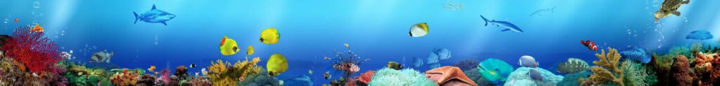 brauri de bucătărie, oglinzi cu iluminare, oglinzi decorative, oglinzi în rame, oglinzi pentru baie Chișinău, oglinzi pentru baie, oglinzi Chișinău, oglinzi MD, oglinzi personalizate, oglinzi moderne, accesorii de bucătărie, design interior, decoratiuni interioare, producator oglinzi, sticla decorativa, sticla personalizata, mobilier oglinda, sticla securizata, oglinzi unice, oglinzi de lux, oglinda iluminata, oglinda baie, oglinda perete, oglinzi living, oglinzi dormitor, oglinzi de perete, oglinzi de birou, oglinzi de hol, oglinzi de baie cu iluminare, oglinzi cu rama din lemn, oglinzi cu rama din aluminiu, oglinzi MD, oglinda cosmetica, oglinzi Chișinău, Chișinău, oglinzi, GlassDecor, Браури для кухни, зеркала с подсветкой, декоративные зеркала, зеркала в рамах, зеркала для ванной Кишинёв, зеркала для ванной комнаты, зеркала Кишинёв, зеркала Молдова, индивидуальные зеркала, современные зеркала, кухонные аксессуары, интерьерный дизайн, предметы интерьера, производитель зеркал, декоративное стекло, индивидуальное стекло, мебель с зеркалами, закаленное стекло, уникальные зеркала, роскошные зеркала, зеркало с подсветкой, зеркало для ванной, настенное зеркало, зеркала для гостиной, зеркала для спальни, настенные зеркала, офисные зеркала, прихожие зеркала, зеркала для ванной с подсветкой, деревянные рамы для зеркал, алюминиевые рамы для зеркал, зеркала Молдова, косметические зеркала, Кишинёв, Молдова, зеркала, GlassDecor, Декоративные зеркала, Зеркала с подсветкой, Зеркала в раме, Фартуки для кухни